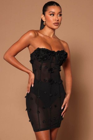 Black Fashion Nova Amelia Rose Corset Mini Women Dress USA | 980465HMC