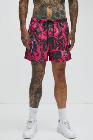 Pink Fashion Nova Ed Hardy Panther Dragon Mesh Men Shorts USA | 980271AER