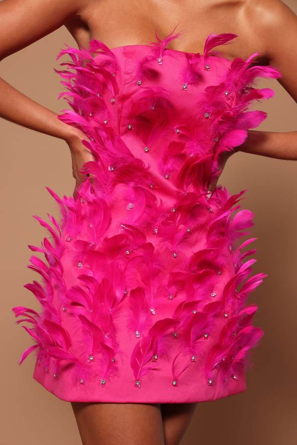 Pink Fashion Nova Emma Embellished Feather Women Dress USA | 089127SPA